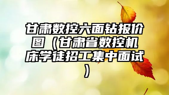 甘肅數控六面鉆報價圖（甘肅省數控機床學徒招工集中面試）