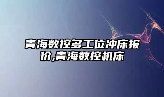 青海數控多工位沖床報價,青海數控機床