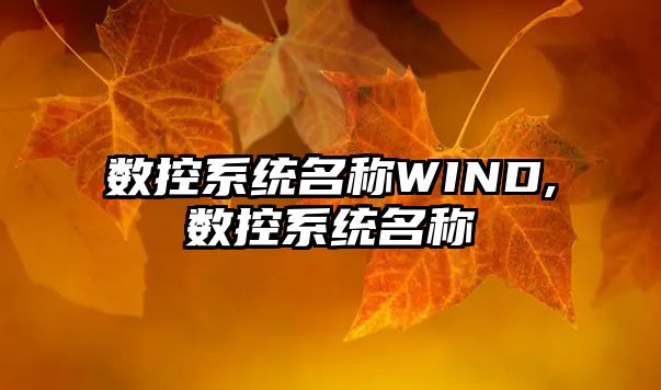 數(shù)控系統(tǒng)名稱WIND,數(shù)控系統(tǒng)名稱