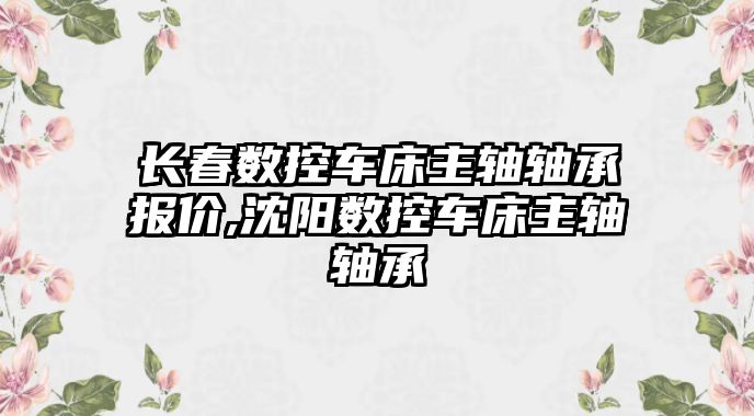 長春數控車床主軸軸承報價,沈陽數控車床主軸軸承