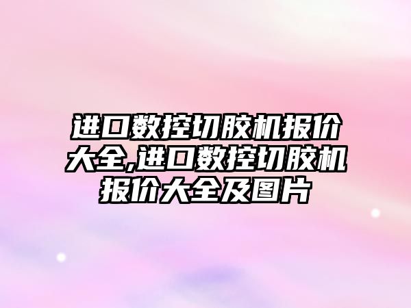 進口數控切膠機報價大全,進口數控切膠機報價大全及圖片