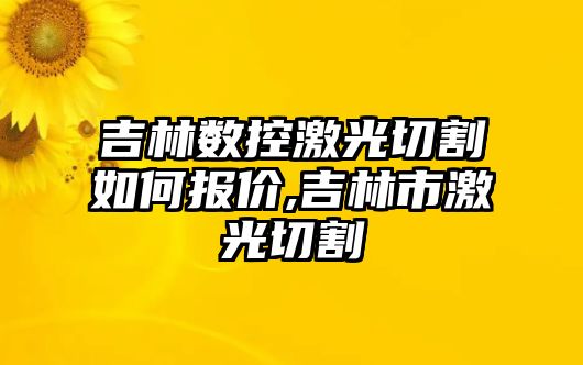 吉林數控激光切割如何報價,吉林市激光切割