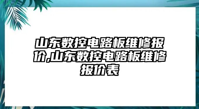 山東數控電路板維修報價,山東數控電路板維修報價表