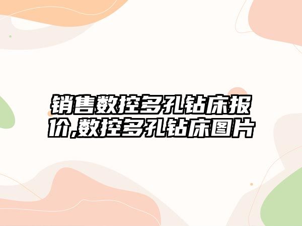 銷售數控多孔鉆床報價,數控多孔鉆床圖片