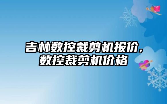 吉林數控裁剪機報價,數控裁剪機價格