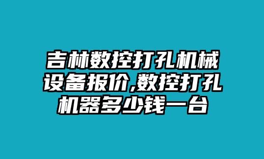 吉林數控打孔機械設備報價,數控打孔機器多少錢一臺