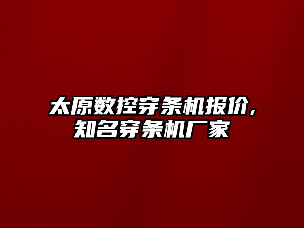 太原數控穿條機報價,知名穿條機廠家