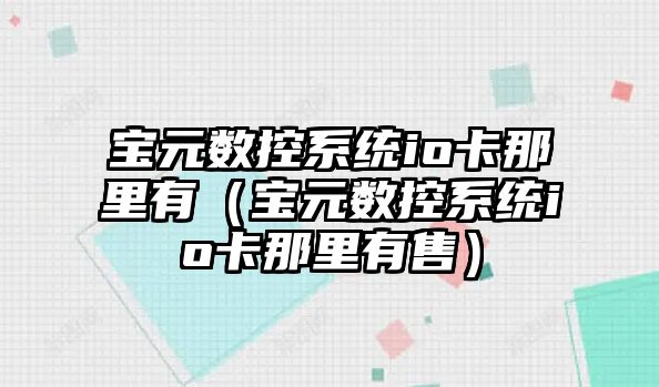 寶元數控系統io卡那里有（寶元數控系統io卡那里有售）