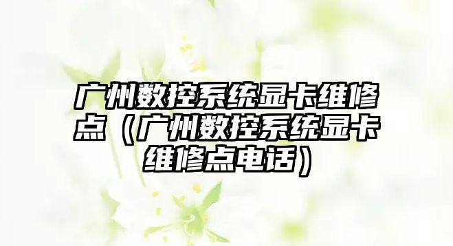 廣州數控系統顯卡維修點（廣州數控系統顯卡維修點電話）