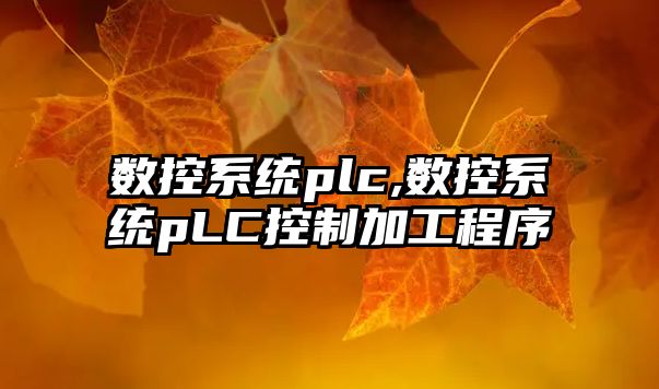 數控系統plc,數控系統pLC控制加工程序