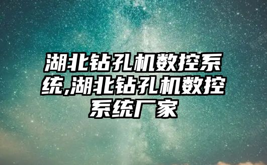 湖北鉆孔機數控系統,湖北鉆孔機數控系統廠家