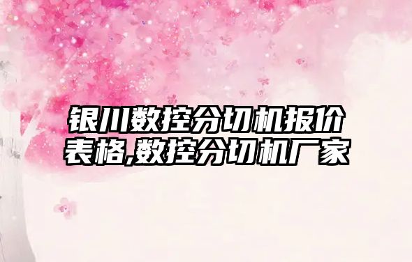 銀川數控分切機報價表格,數控分切機廠家