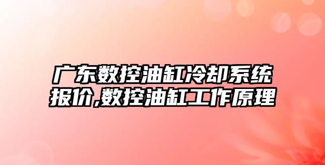 廣東數控油缸冷卻系統報價,數控油缸工作原理