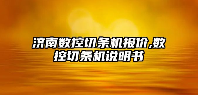 濟南數控切條機報價,數控切條機說明書