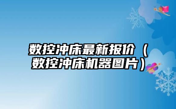 數控沖床最新報價（數控沖床機器圖片）