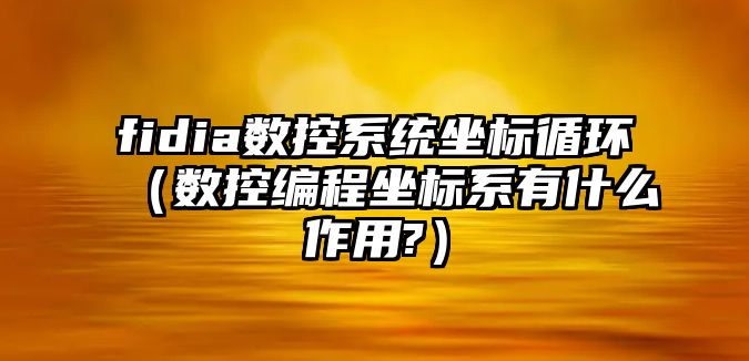 fidia數控系統坐標循環（數控編程坐標系有什么作用?）