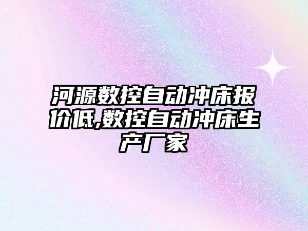 河源數控自動沖床報價低,數控自動沖床生產廠家