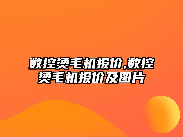 數(shù)控燙毛機報價,數(shù)控燙毛機報價及圖片