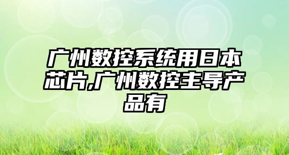 廣州數控系統用日本芯片,廣州數控主導產品有