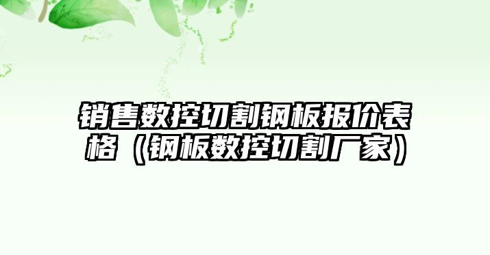 銷售數(shù)控切割鋼板報價表格（鋼板數(shù)控切割廠家）