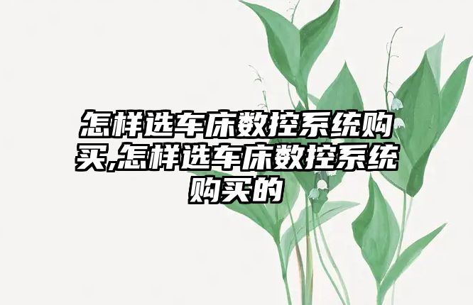 怎樣選車床數控系統購買,怎樣選車床數控系統購買的