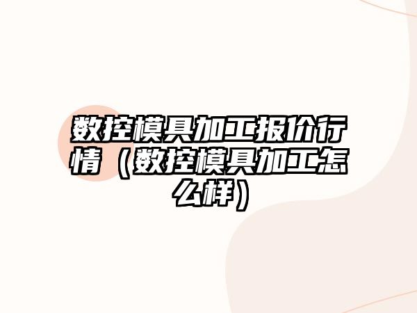 數(shù)控模具加工報價行情（數(shù)控模具加工怎么樣）