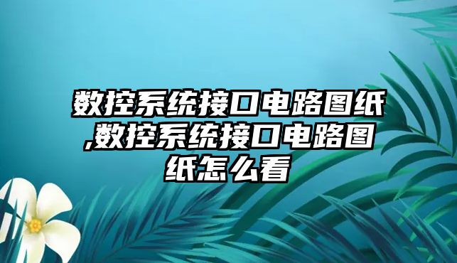 數控系統接口電路圖紙,數控系統接口電路圖紙怎么看