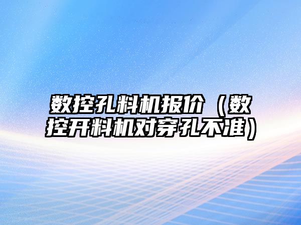 數(shù)控孔料機報價（數(shù)控開料機對穿孔不準）