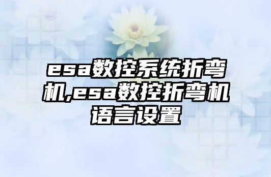 esa數控系統折彎機,esa數控折彎機語言設置