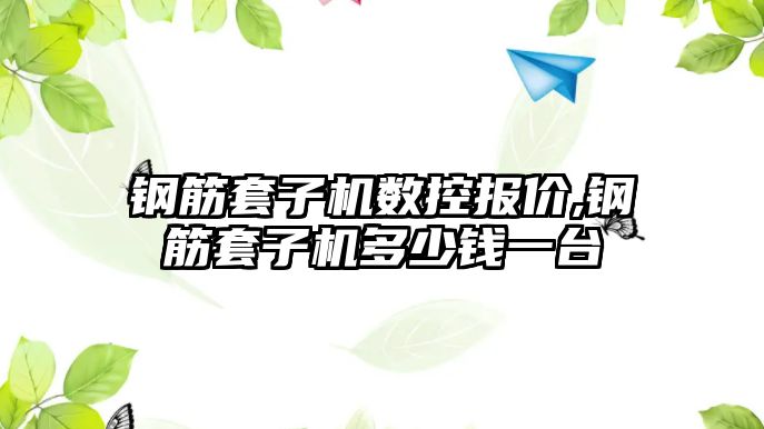 鋼筋套子機數(shù)控報價,鋼筋套子機多少錢一臺