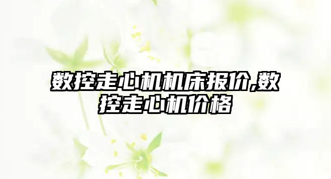 數(shù)控走心機機床報價,數(shù)控走心機價格