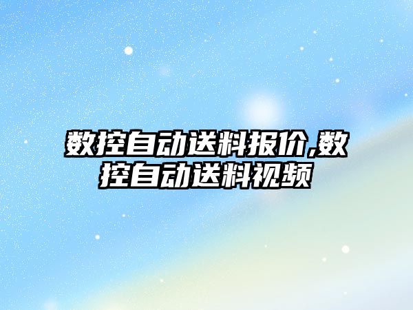 數控自動送料報價,數控自動送料視頻