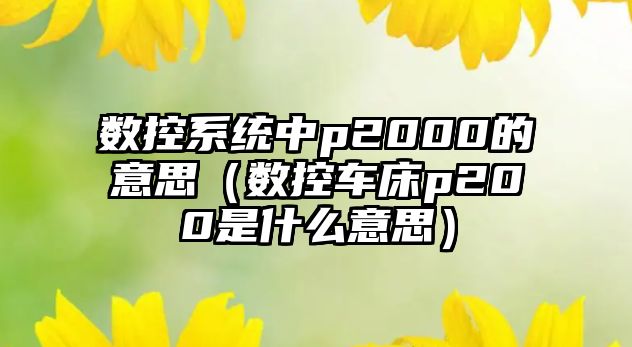 數(shù)控系統(tǒng)中p2000的意思（數(shù)控車床p200是什么意思）