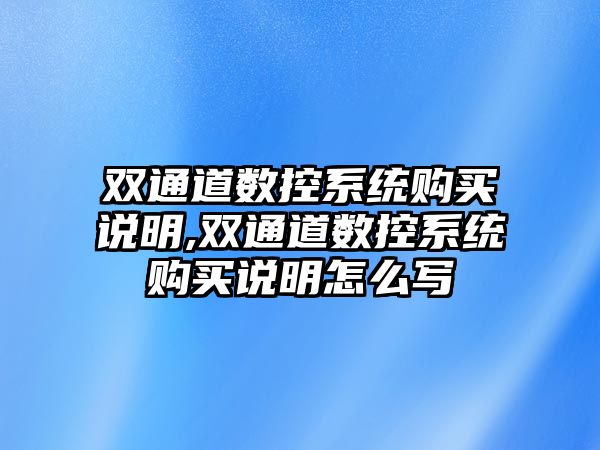 雙通道數控系統購買說明,雙通道數控系統購買說明怎么寫