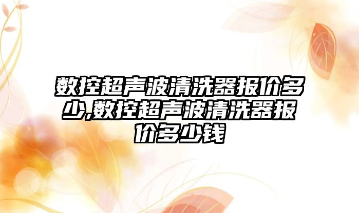 數控超聲波清洗器報價多少,數控超聲波清洗器報價多少錢