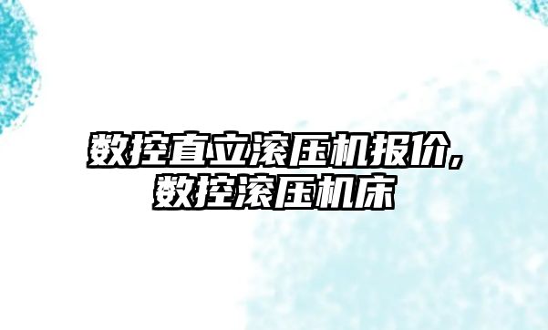 數控直立滾壓機報價,數控滾壓機床