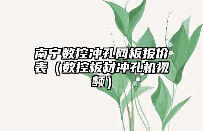 南寧數控沖孔網板報價表（數控板材沖孔機視頻）