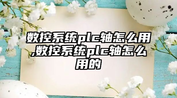 數控系統plc軸怎么用,數控系統plc軸怎么用的