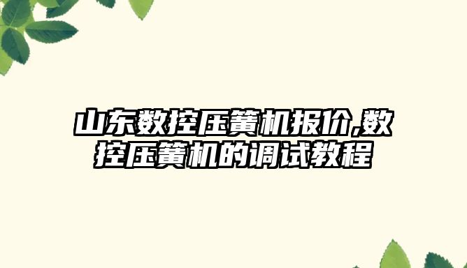 山東數控壓簧機報價,數控壓簧機的調試教程