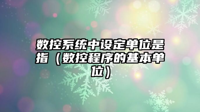 數(shù)控系統(tǒng)中設(shè)定單位是指（數(shù)控程序的基本單位）