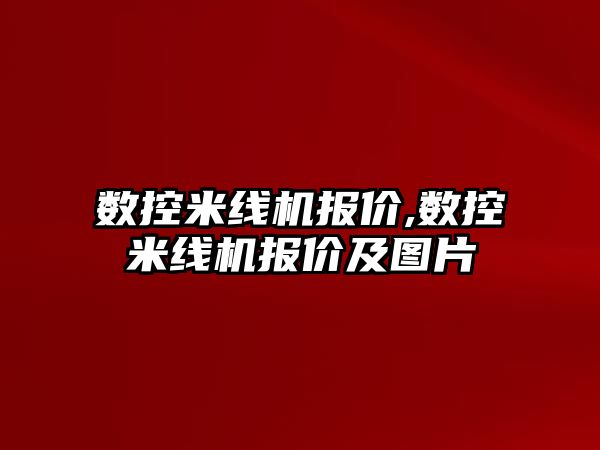 數控米線機報價,數控米線機報價及圖片