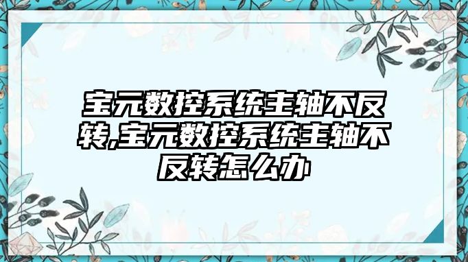 寶元數控系統主軸不反轉,寶元數控系統主軸不反轉怎么辦