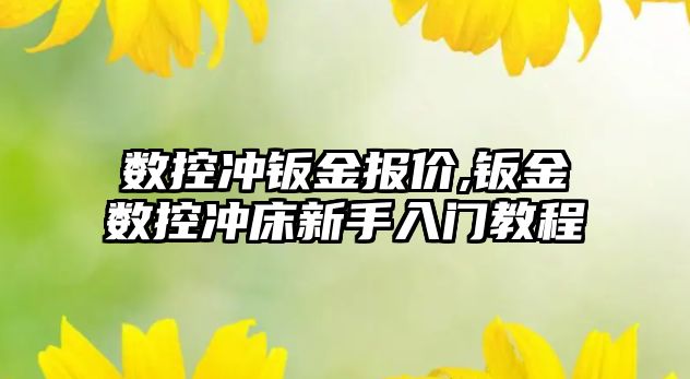 數控沖鈑金報價,鈑金數控沖床新手入門教程