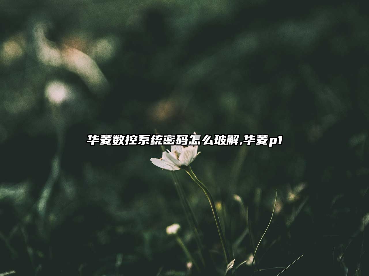 華菱數控系統密碼怎么玻解,華菱p1