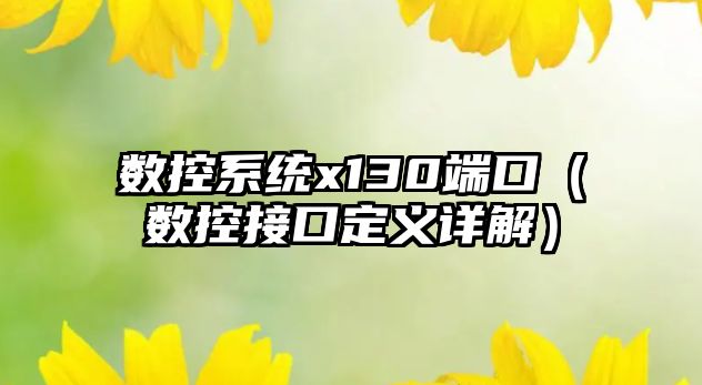 數控系統x130端口（數控接口定義詳解）