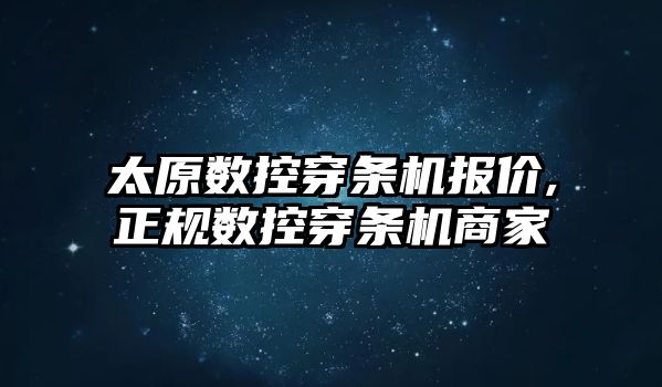 太原數控穿條機報價,正規數控穿條機商家