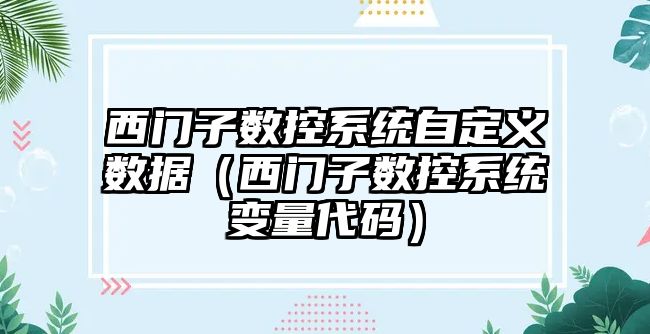 西門子數控系統自定義數據（西門子數控系統變量代碼）