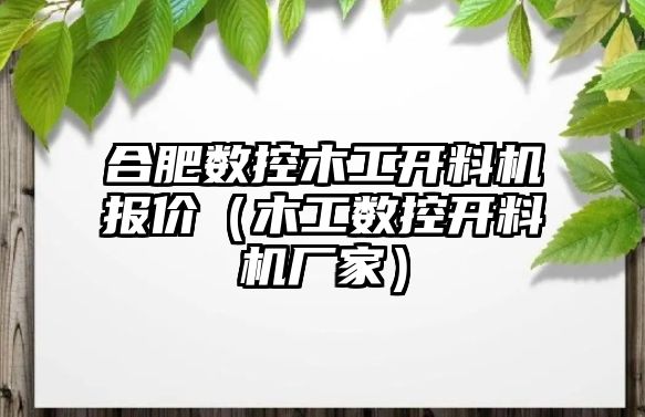 合肥數控木工開料機報價（木工數控開料機廠家）