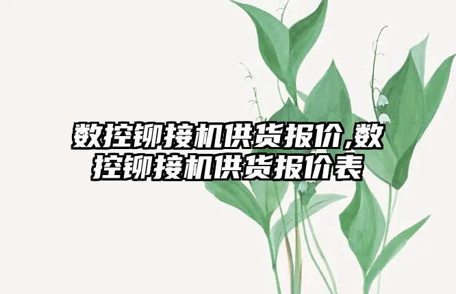 數控鉚接機供貨報價,數控鉚接機供貨報價表