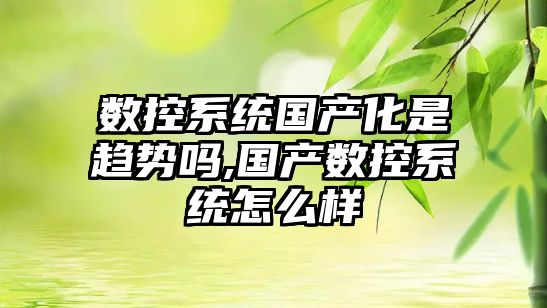 數控系統國產化是趨勢嗎,國產數控系統怎么樣